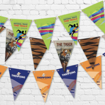 Promotional 5 Meter Paper Triangular Indoor Bunting