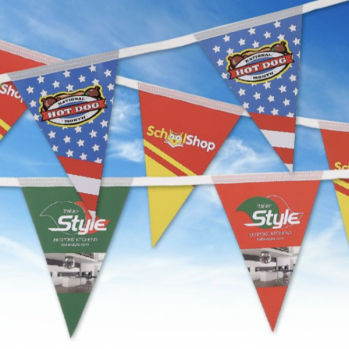 Promotional 10 Meter Triangular PVC Bunting